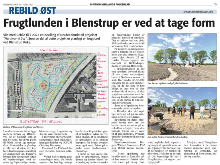 Frugtlunden i Blenstrup... Midthimmerlands folkeblad 14. juni 2023