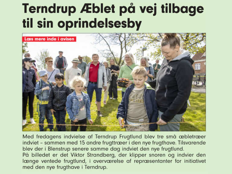 Midthimmerlands Folkeblad 8. maj 2024,forside