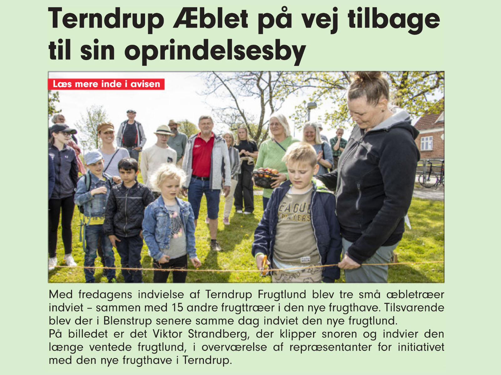 Midthimmerlands Folkeblad 8. maj 2024,forside