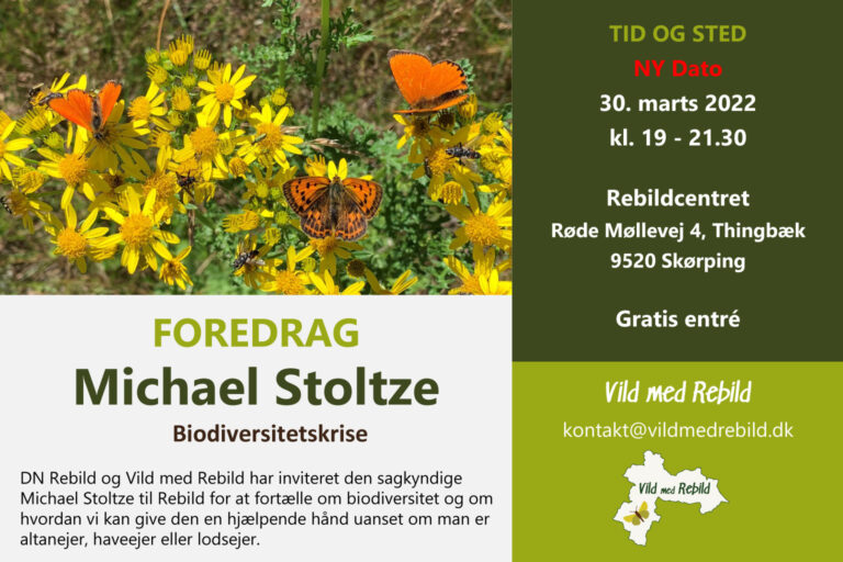 Foredrag med Michael Stoltze