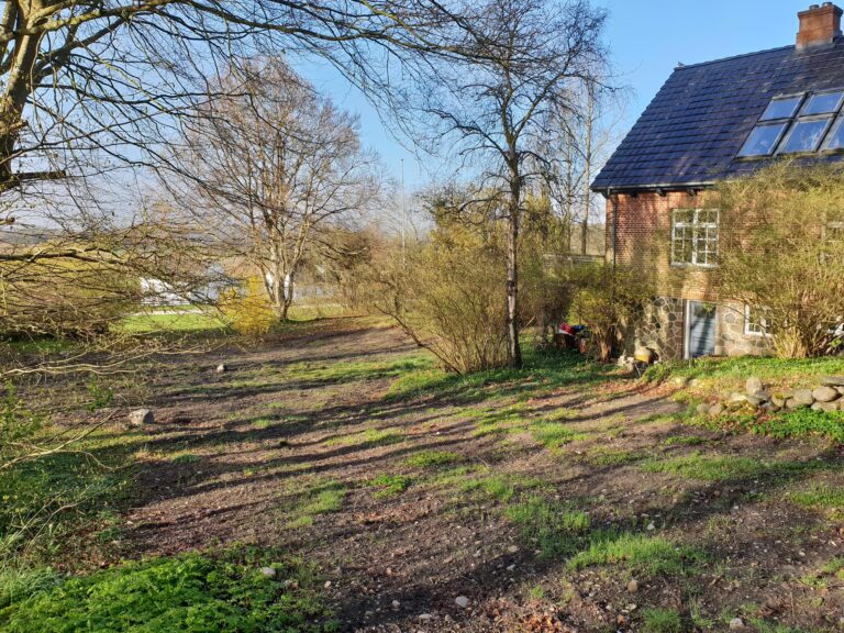 800 m2 skrænt i Gravlev skal forvandles til insektparadis