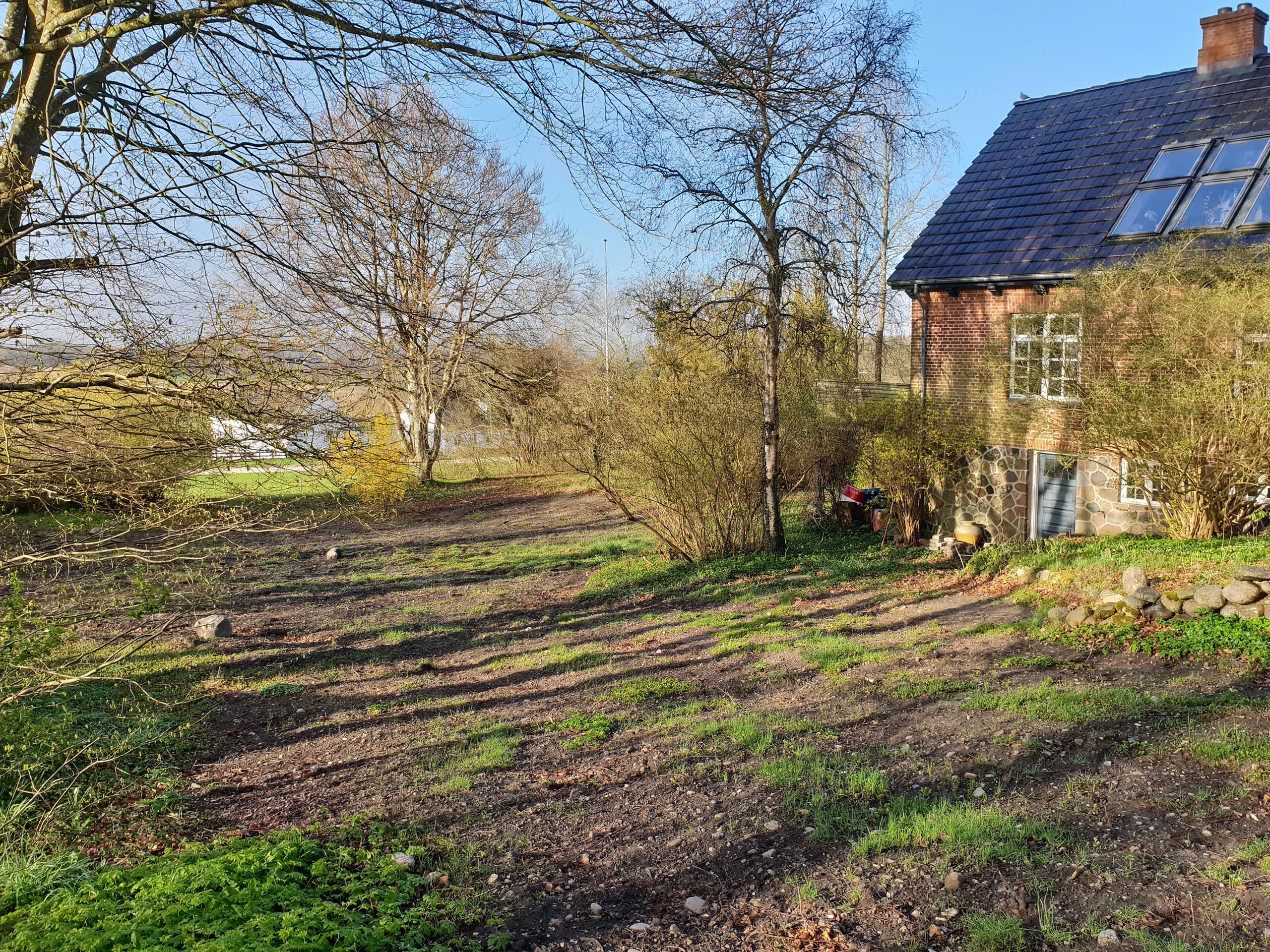 800 m2 skrænt i Gravlev skal forvandles til insektparadis