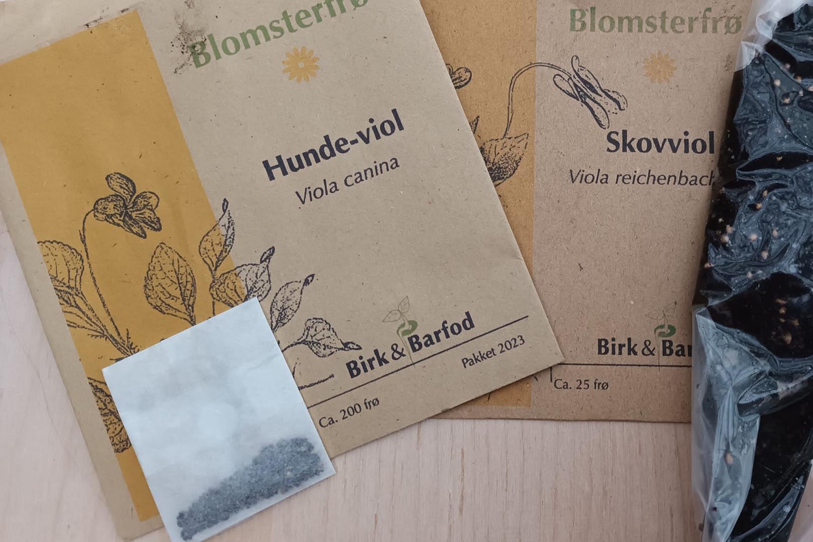Hundeviol og Skovviol frø