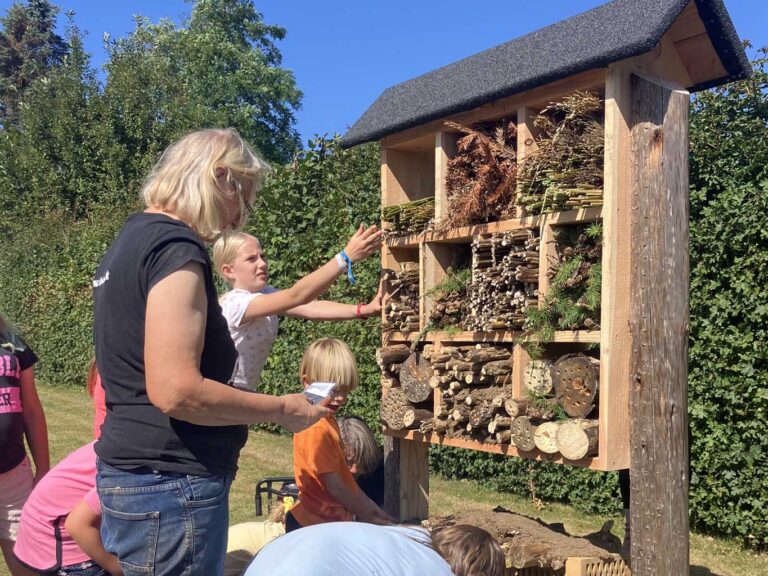 Elever bygger insekthotel på Østhimmerlands Friskole 13. aug. 2025
