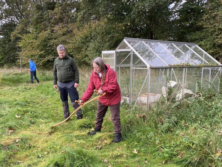 Kursus i slåning med le; Himmerlandsbyen okt. 2023