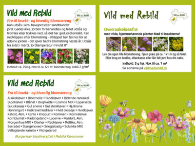 Plantefrø til insekt- og bivenlig blomstereng - Vild med Rebild