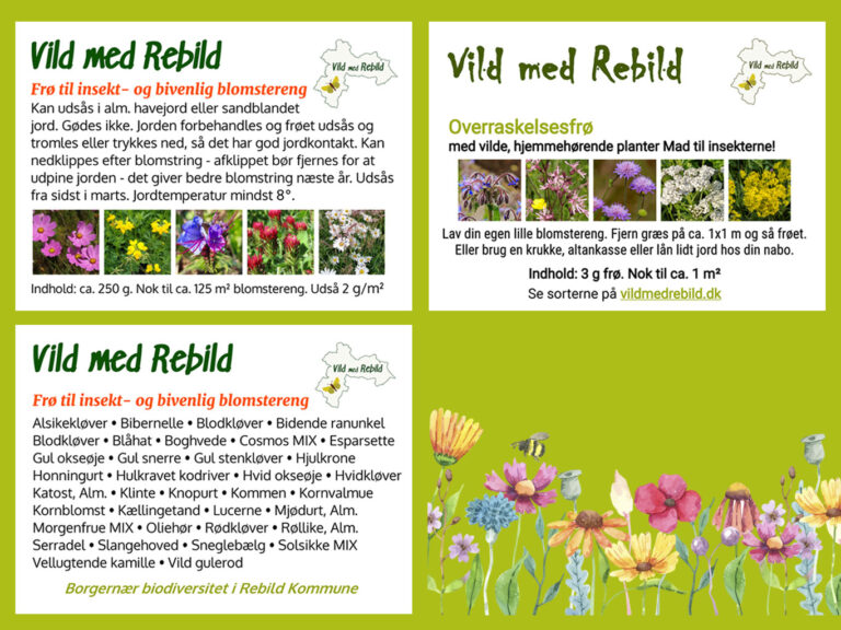 Plantefrø til insekt- og bivenlig blomstereng - Vild med Rebild