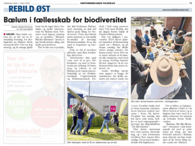 Bælum i fællesskab for biodiversitet, Midthimmerlands Folkeblad 7. maj 2025
