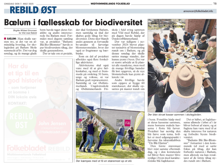 Bælum i fællesskab for biodiversitet, Midthimmerlands Folkeblad 7. maj 2025