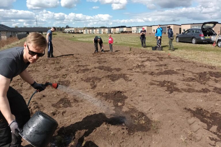 Naturprojekt i grundejerforeningen Rådyret, Støvring 2022