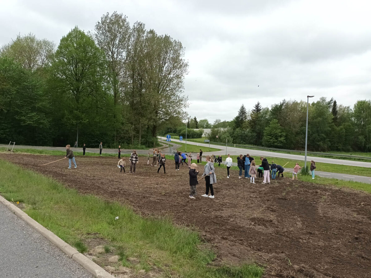 Udsåning af 'Vildt Område' ved Sortebakkeskolen