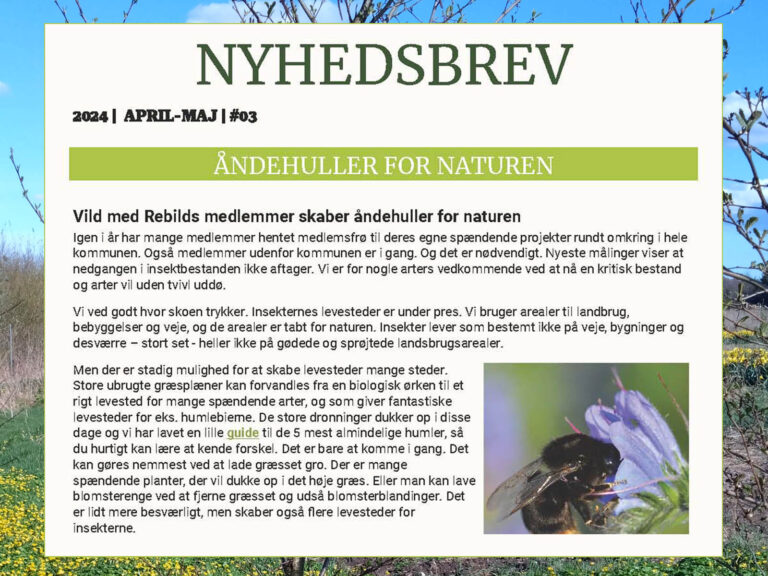 Nyhedsbrev april/maj 2024 #3 - Vild med Rebild