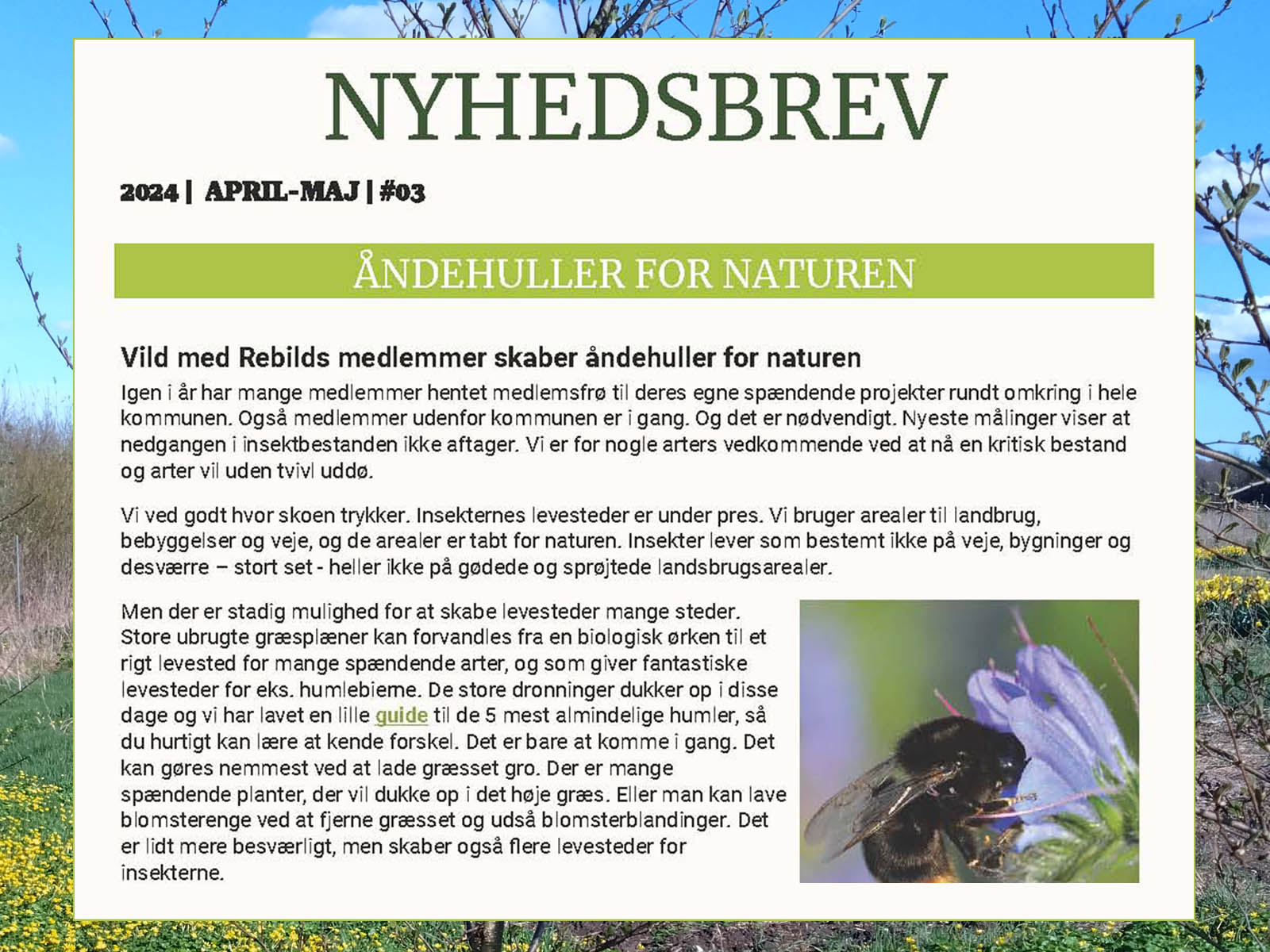 Nyhedsbrev april/maj 2024 #3 - Vild med Rebild