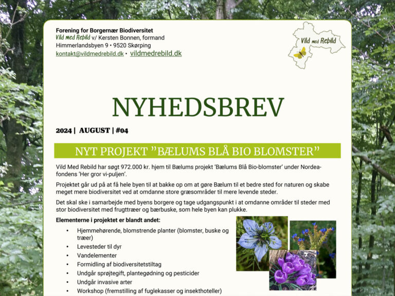 Nyhedsbrev august 2024 - Vild med Rebild