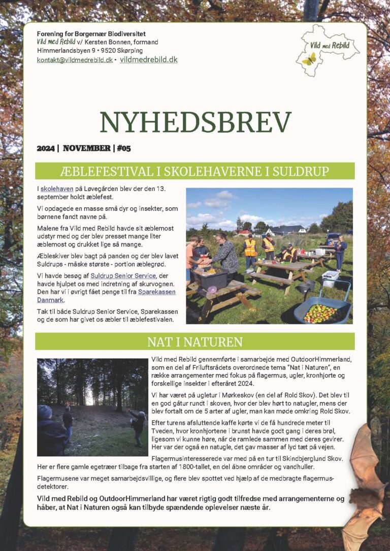 Nyhedsbrev #05, november 2024 - Vild med Rebild