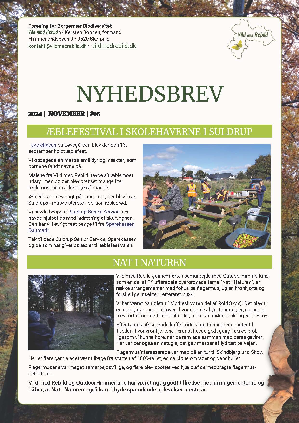 Nyhedsbrev #05, november 2024 - Vild med Rebild