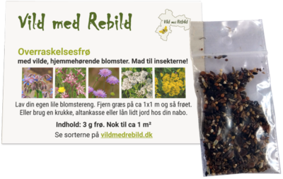 'Overraskelsesfrø' til udsåning i blomstereng