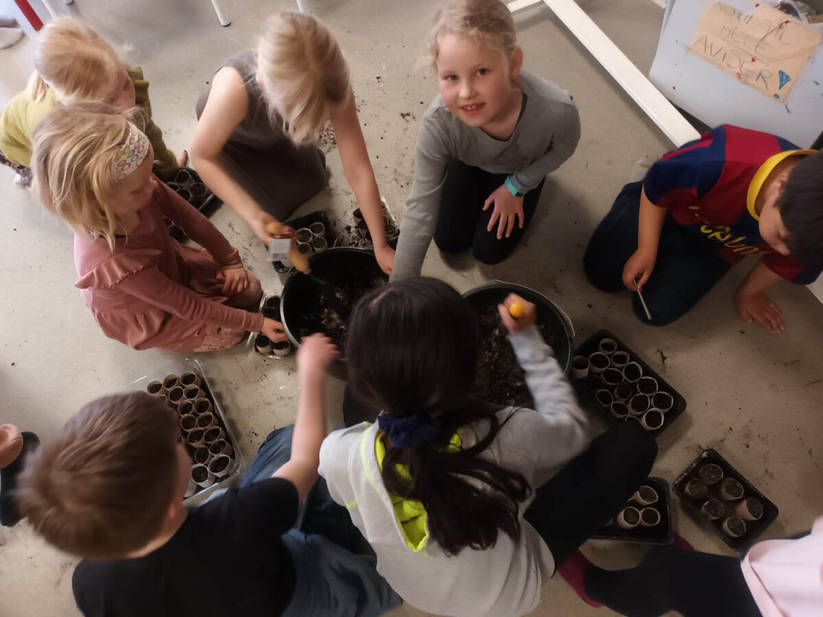 SFO-børn, Bælum skole