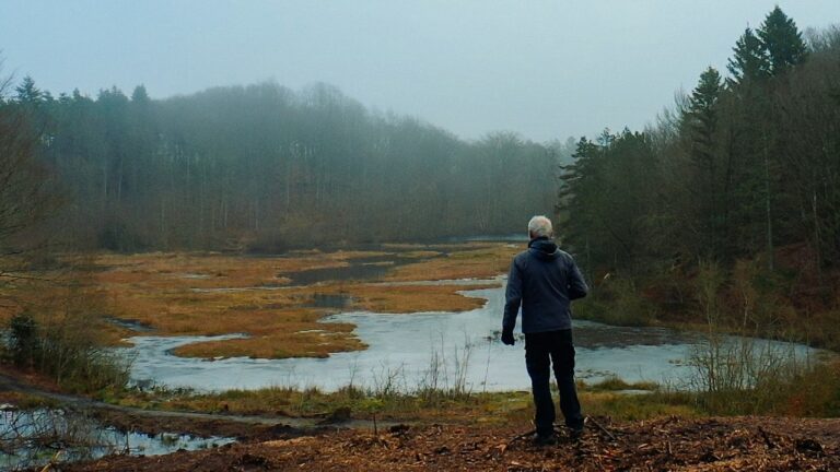 Rewilding Hammer Bakker