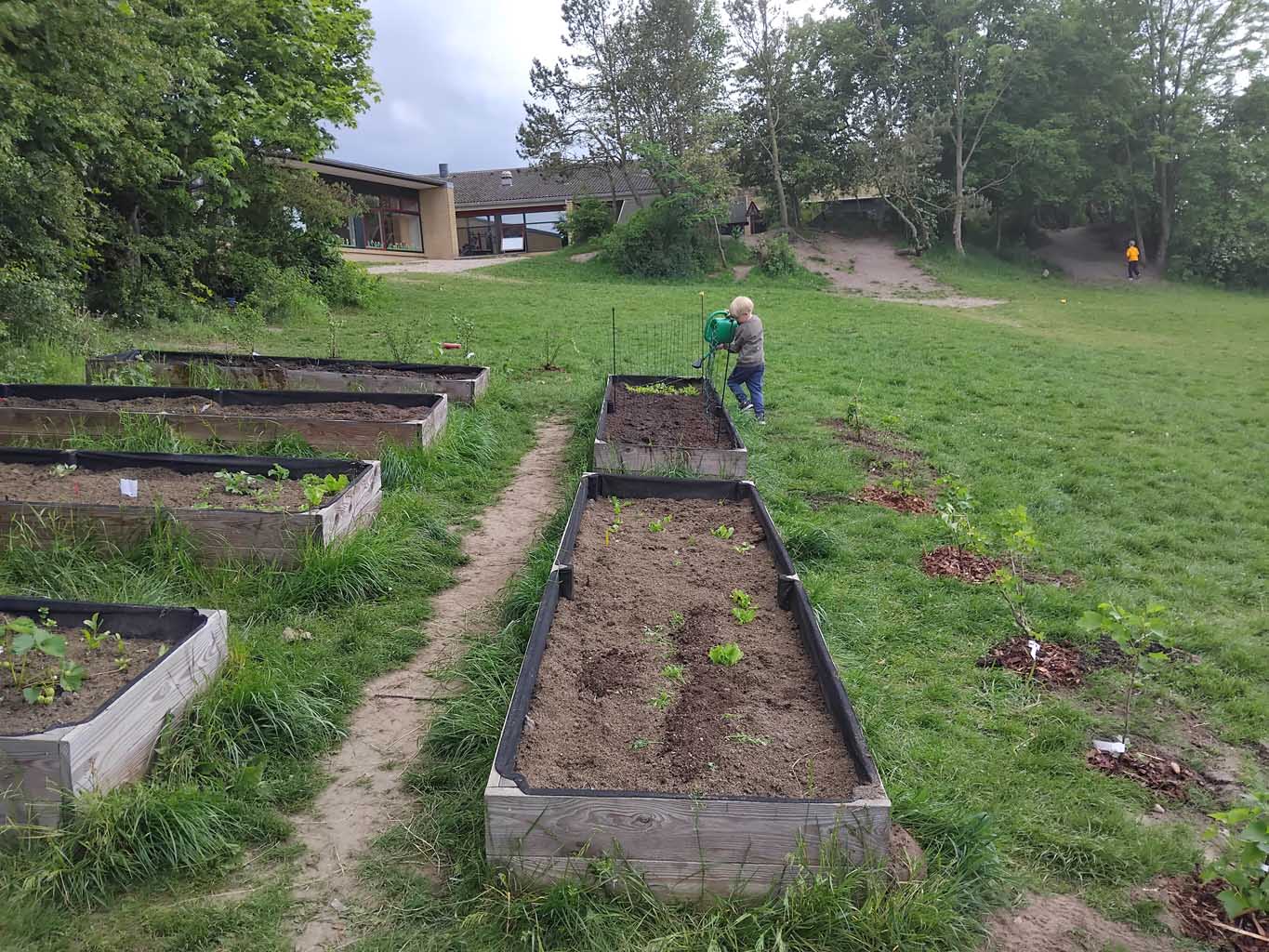 Skolehaver ved Karensmindeskolen 2025