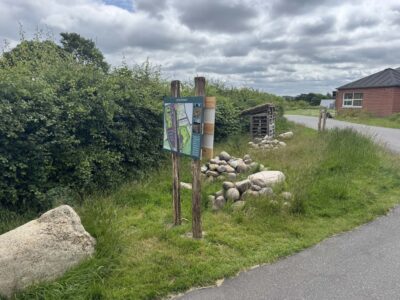 Grønne, vilde områder på Terndrup skole