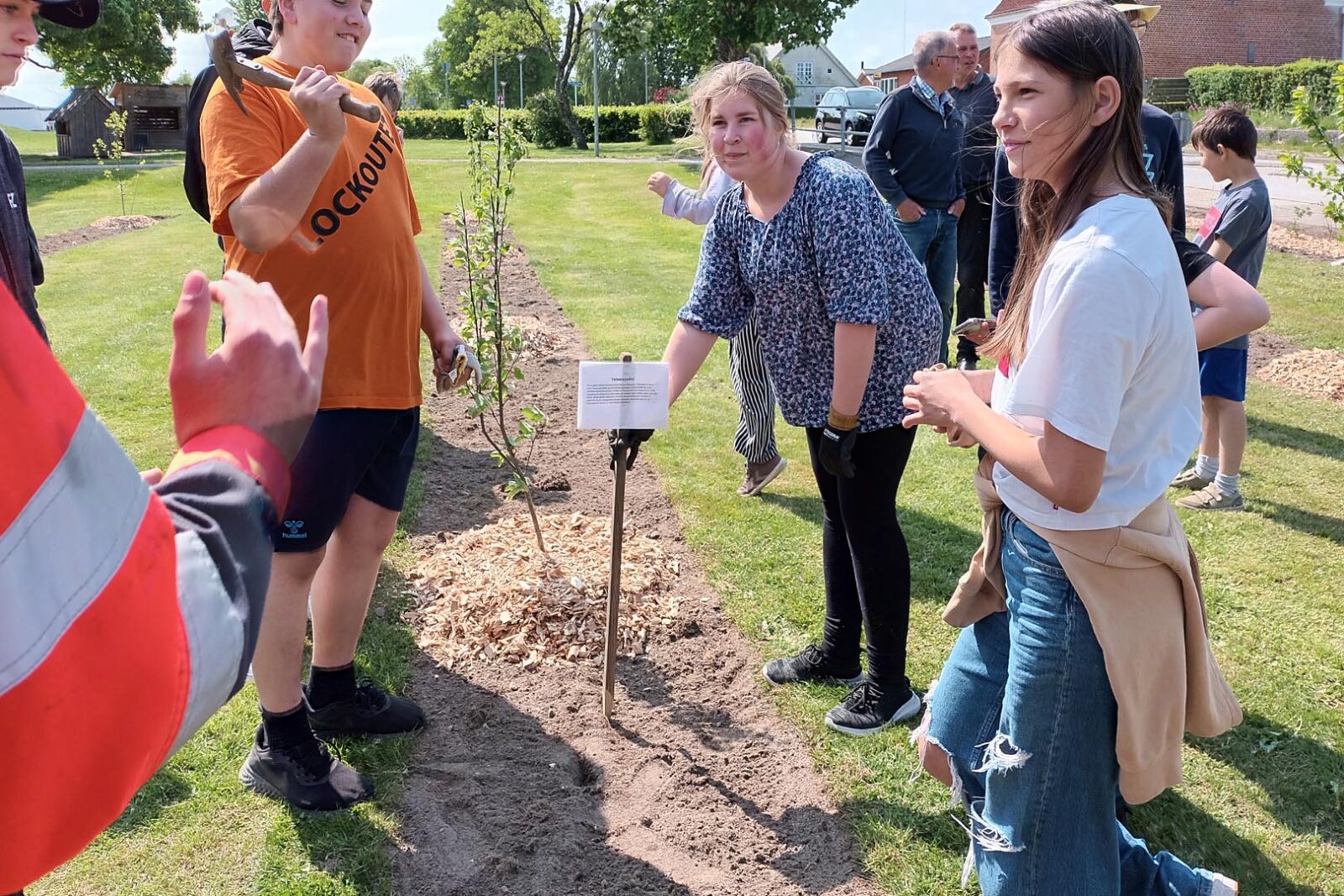 Terndrup skole - Vilde områder 2023