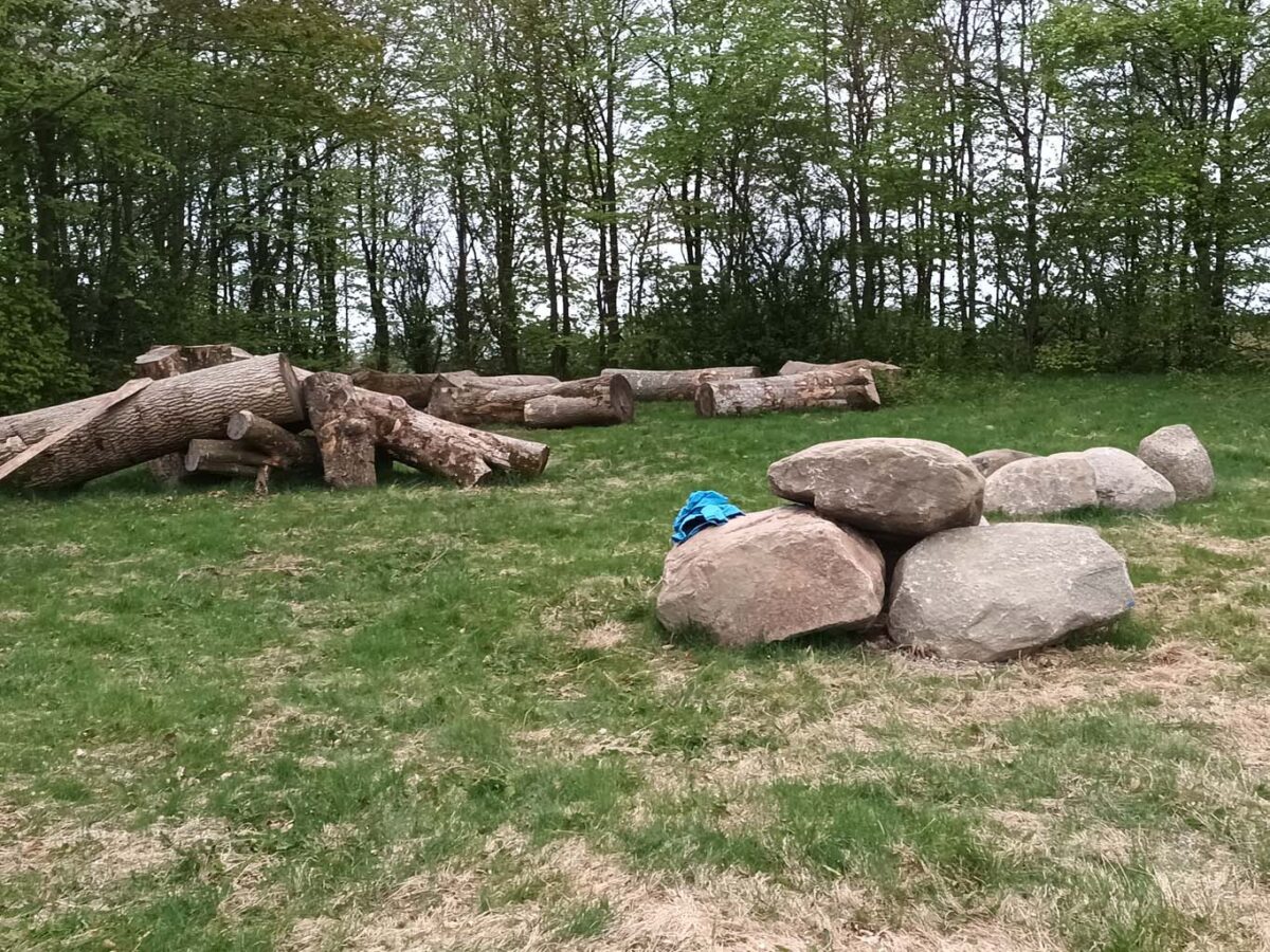 Vi har lavet vildt område ved en spejdergruppe i Rebild Kommune