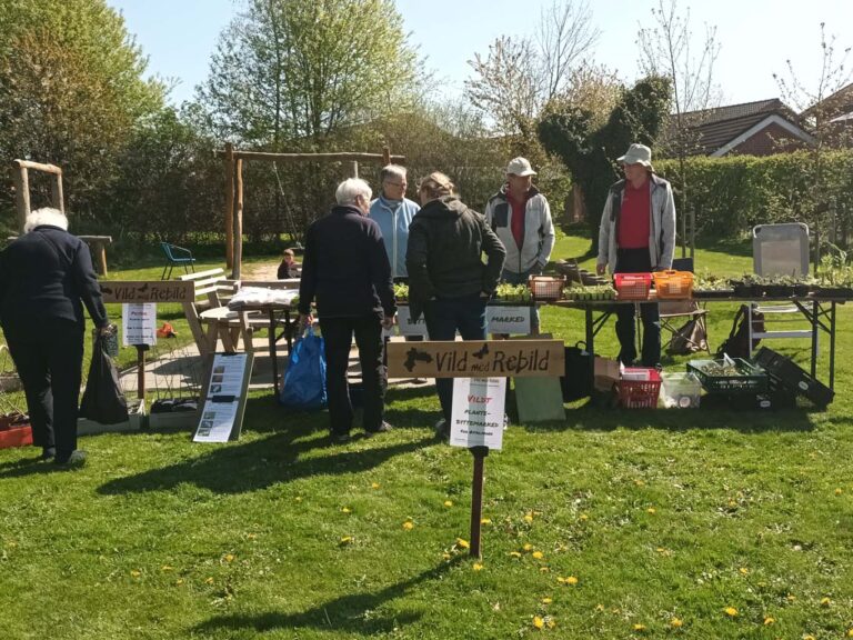 Vildt plantebytte-marked i Terndrup maj 2022
